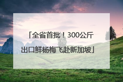 全省首批！300公斤出口鲜杨梅飞赴新加坡